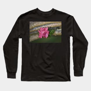 Rose of Sharon Long Sleeve T-Shirt